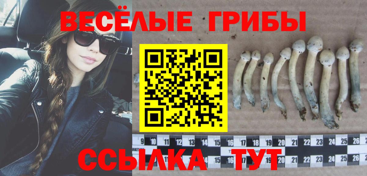 Галлюциногенные грибы MAGIC MUSHROOMS Сосновый Бор